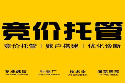 旅游行业SEM服务托管的优化实践案例